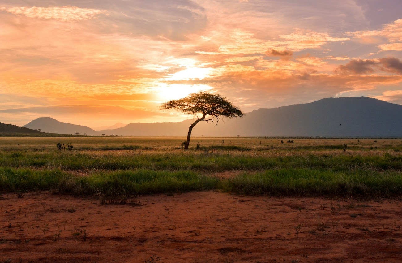 Safari landscape near Johannesburg region